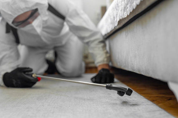 Professional Termite Control technician working in Gardner, IL