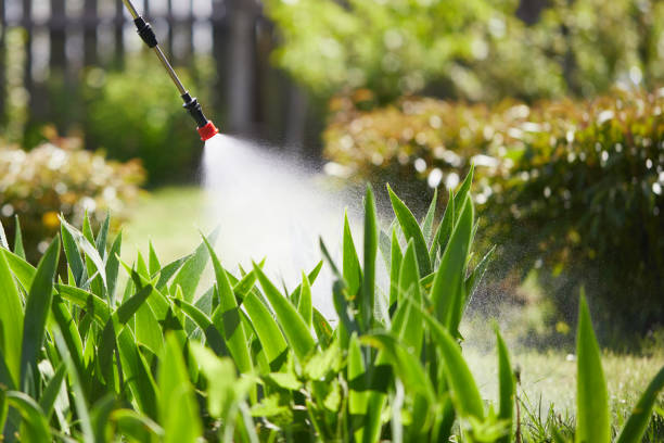 24/7 Emergency Termite Control experts in Gardner, IL