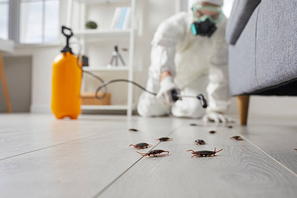 Trusted Fumigation Services service in Gardner, IL - Nex Pest Control